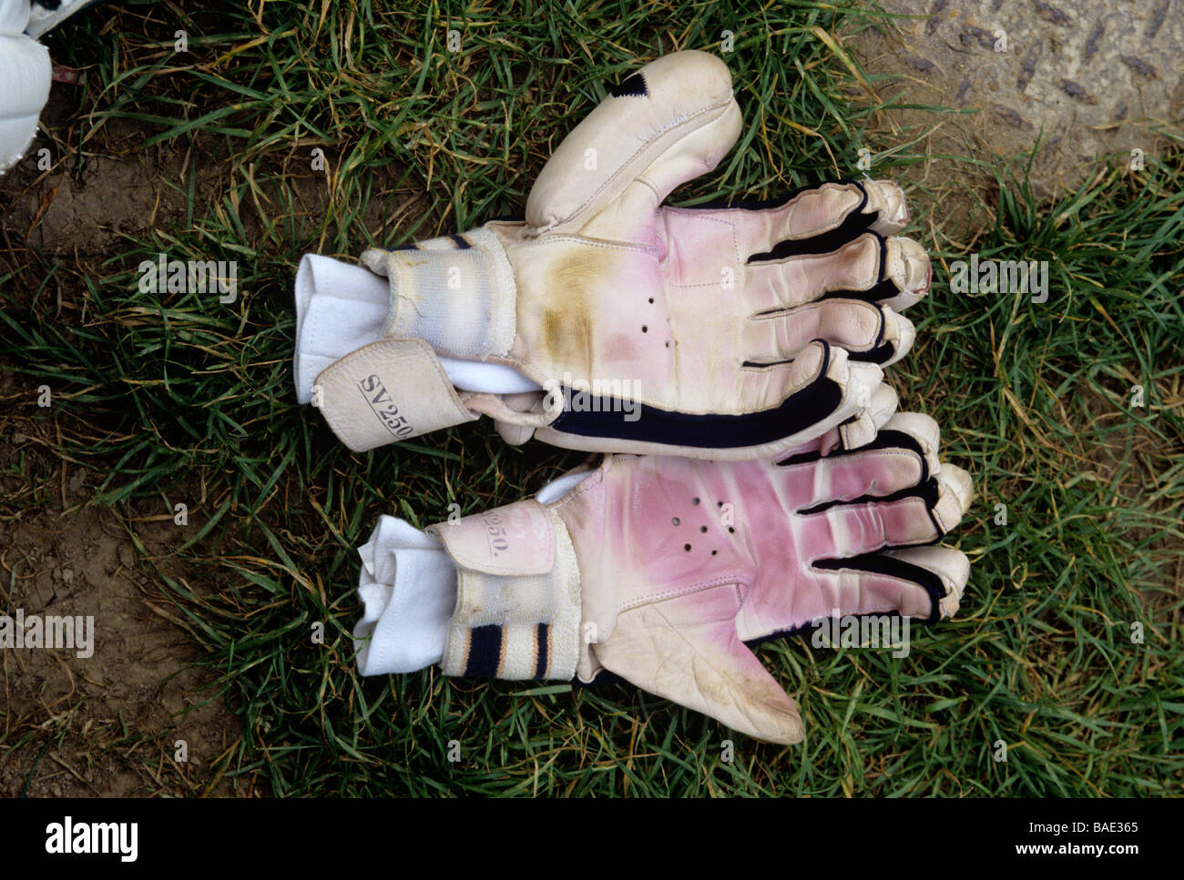 Wicket-Keepers Handschuhe Stockfoto