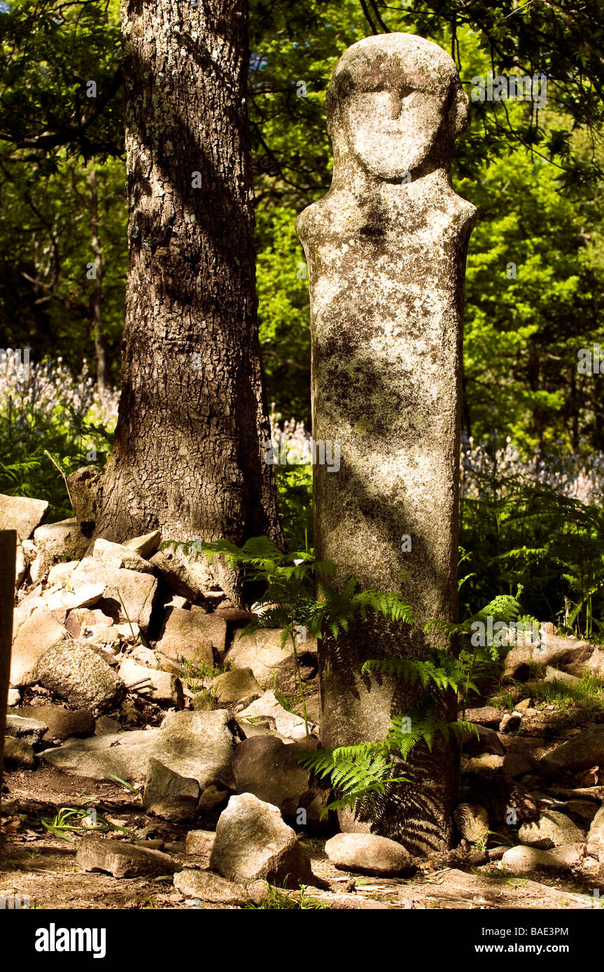 Frankreich, Corse du Sud, Tavera, Statue Menhir datiert aus dem zweiten Jahrtausend, 2,42 Meter Höhe Stockfoto