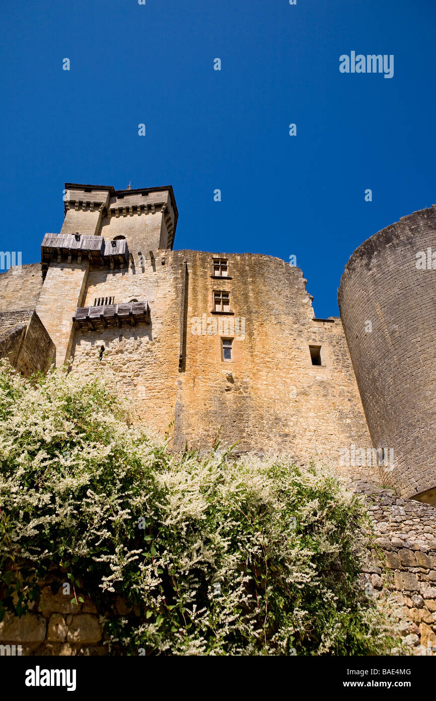 Frankreich, Dordogne, Perigord Noir, Dordogne-Tal, Castelnaud la Chapelle, Chateau de Castelnaud, Musee De La Guerre au Moyen Stockfoto