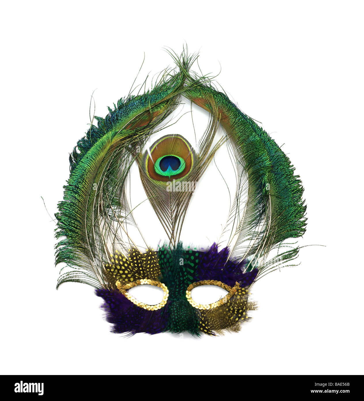 Karneval-Pfau-Maske Stockfoto