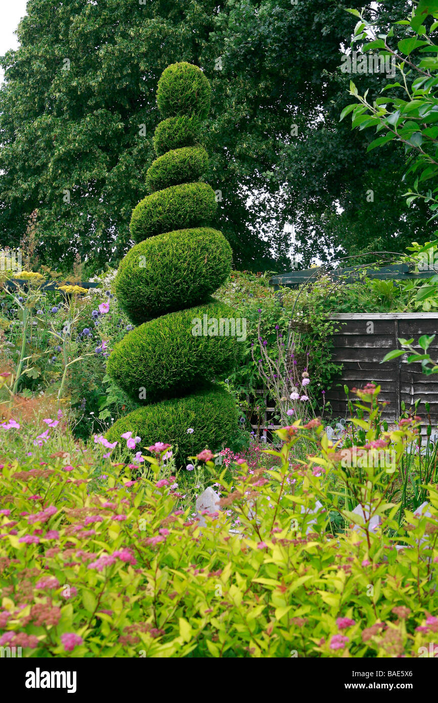 Thuja Arte topiaria Stockfoto