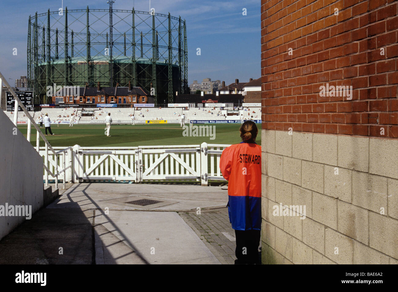 Ein county Cricket-Match im Oval Cricket ground in Süd-London Stockfoto