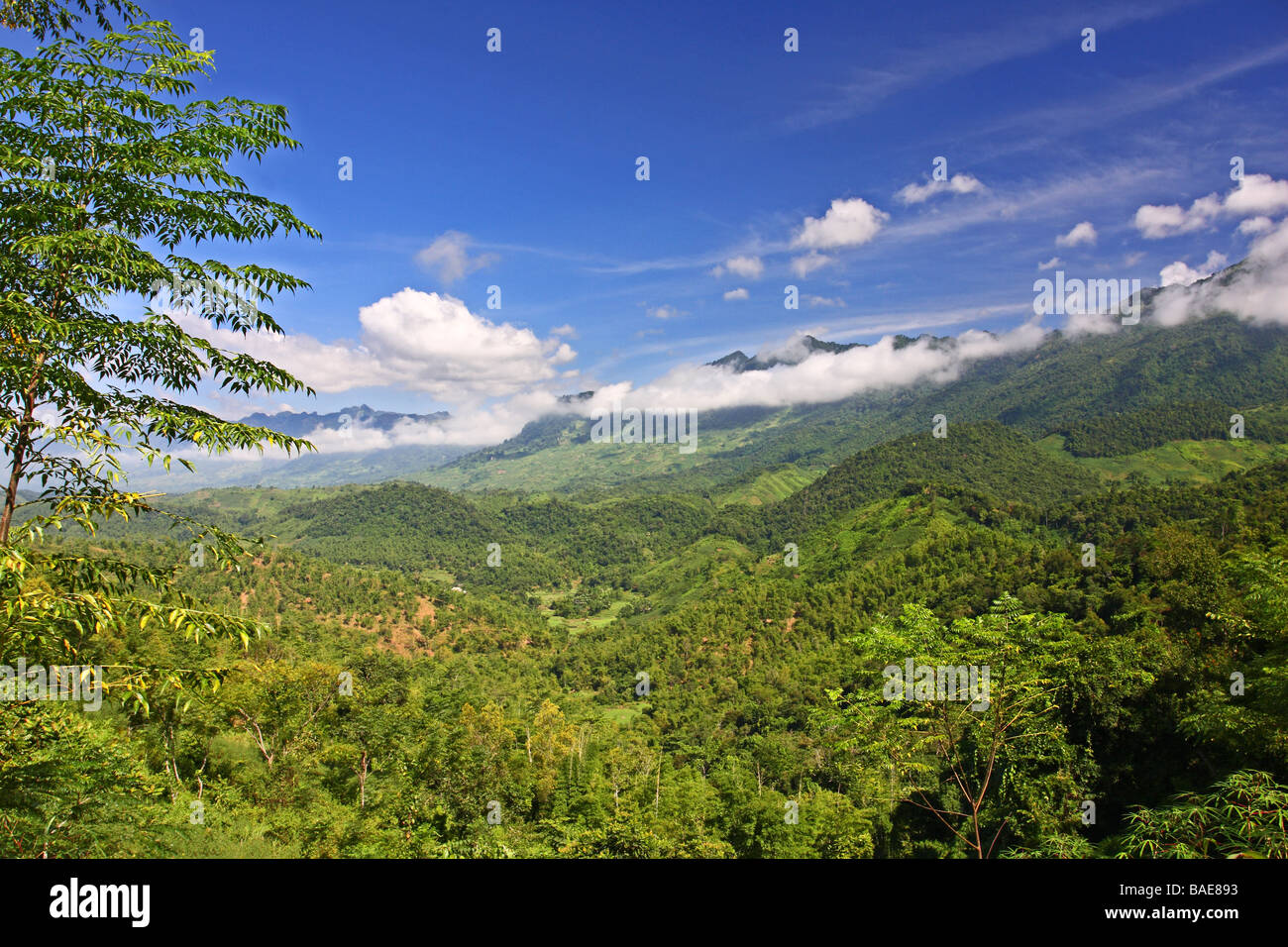 Schöne Landschaft mit grünen Bergen rund um Mai Chau Minderheit Dorf. Vietnam Stockfoto