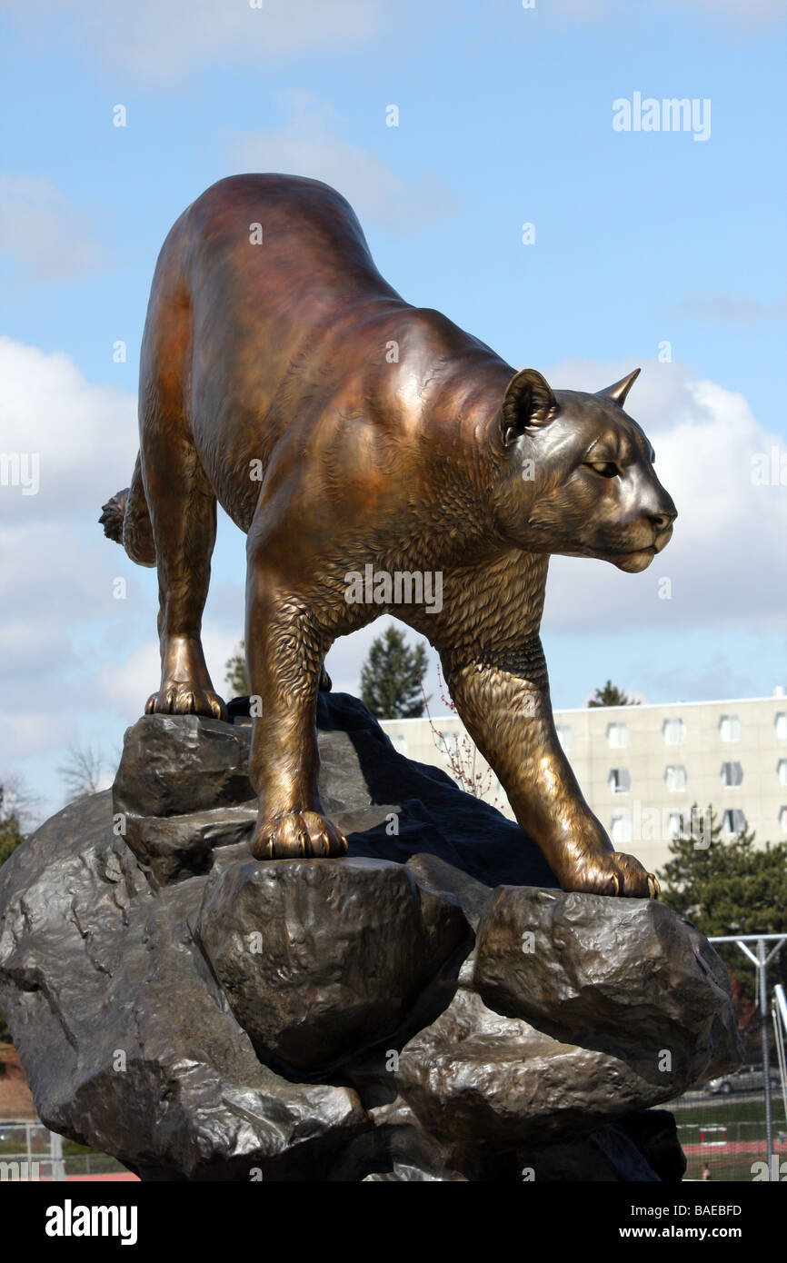 Eine riesige bronzene Statue von einem Cougar sitzt nun durch den Haupteingang, Martin Stadium auf dem Campus der Washington State University. Stockfoto