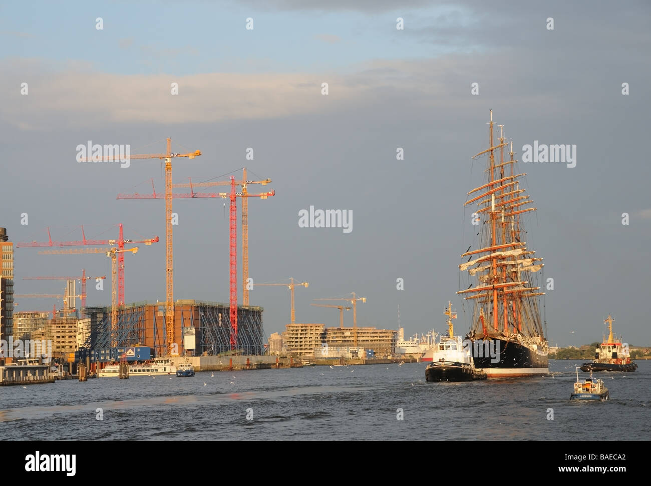 Die vier-Mast-Russion Segeln Schiff "Sedov" im Hamburger Hafen durch die untergehende Sonne beleuchtet. gezeichnet von einem Schleppschiff Möwen Stockfoto