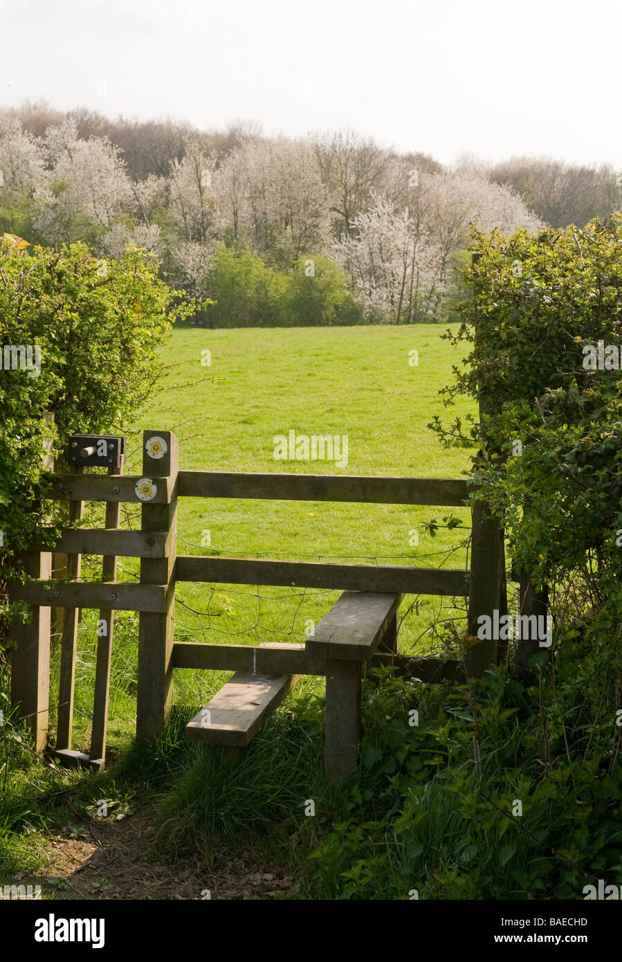 STIL AUF EINEM LÄNDLICHEN WANDERWEG IN DEN CHILTERN HILLS, BUCKINGHAMSHIRE, ENGLAND. Stockfoto