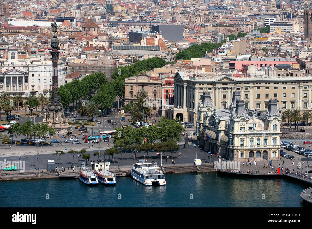 Spanien, Katalonien, Barcelona, Christopher Columbus-Denkmal im Gotico Viertel (Barri Gotic) und Ramblas Bäume Stockfoto