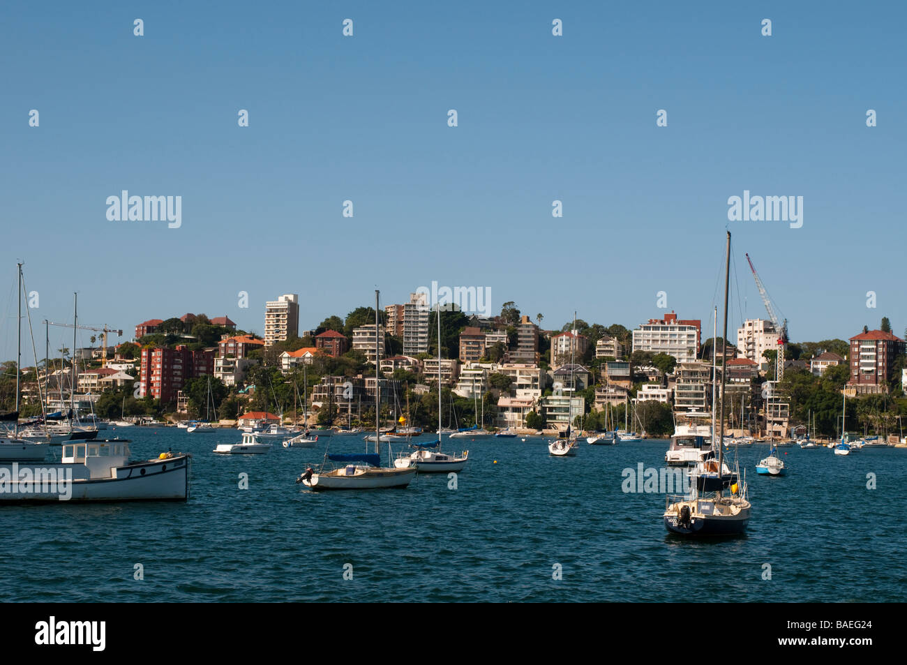 Sydney Harbour und Double Bay New South Wales Australien Stockfoto