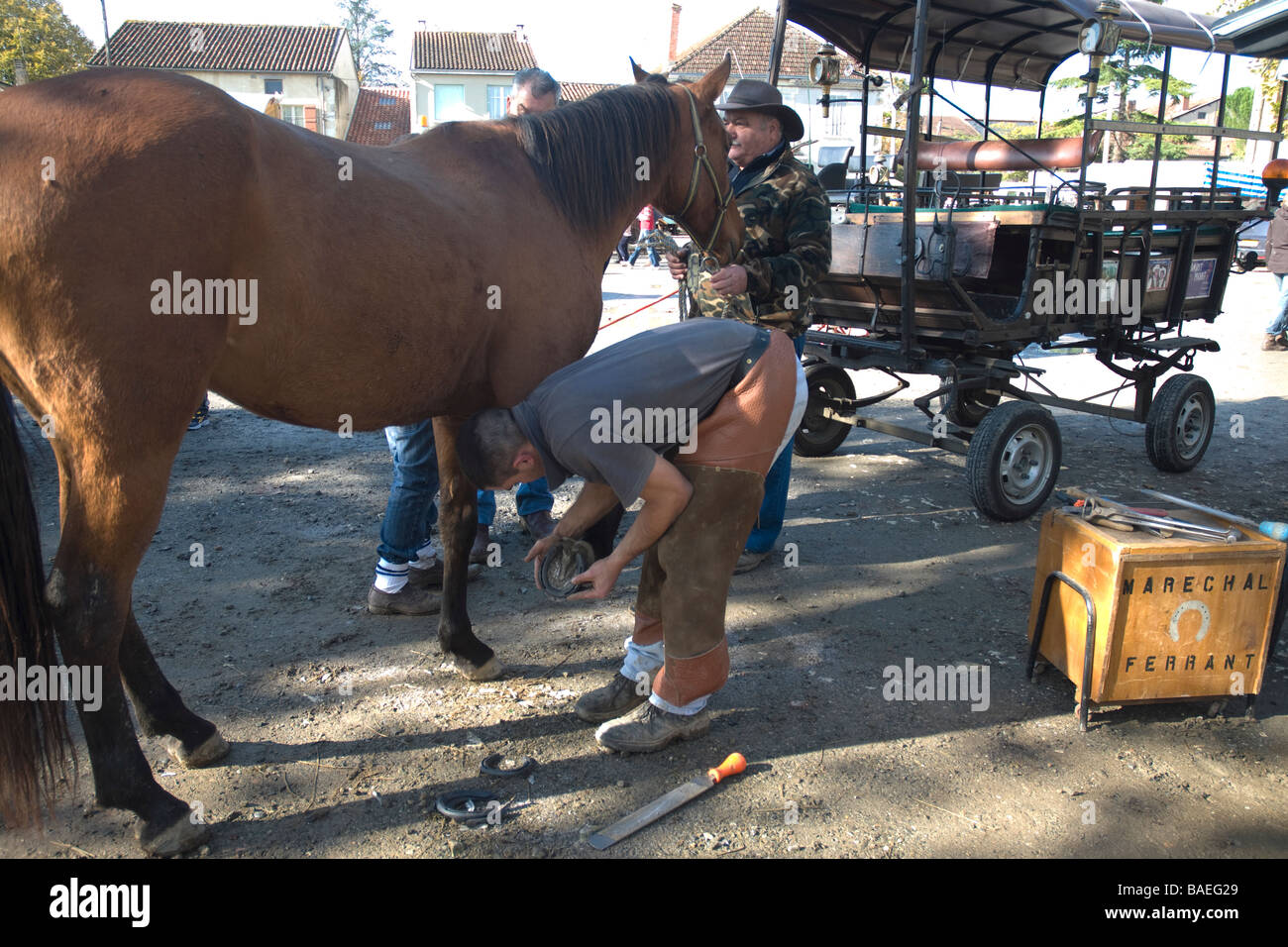 Ein Schmied Schuhe ein Pferd in einem ländlichen Pferd Messe in Südwest-Frankreich Stockfoto