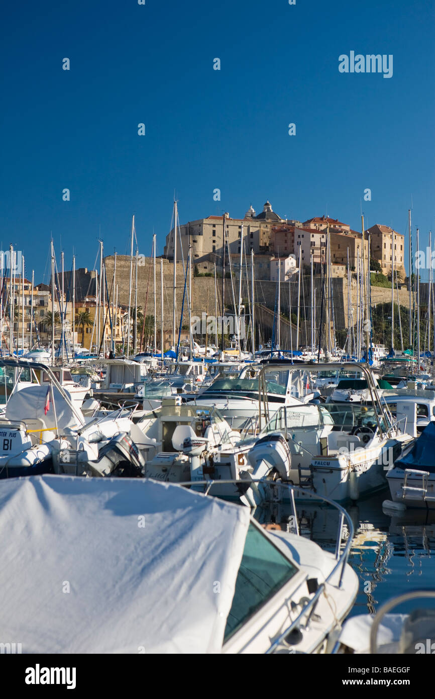 Blick über Hafen Boote zur Zitadelle Calvi Korsika Frankreich Stockfoto
