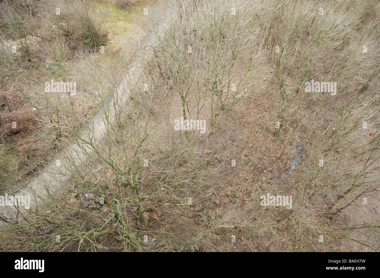 Kleiner Weg von oben gesehen, Göteborg, Schweden Stockfoto