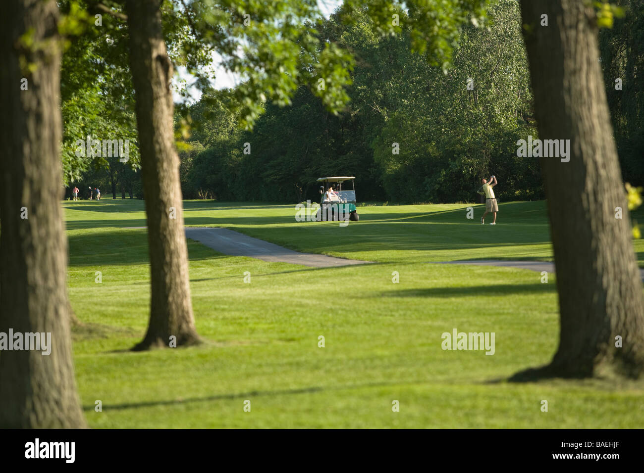 Blick auf den Golfplatz Deerfield Illinois Mann Knüppeln auf Fairway durch Baum-Stämme-Golf-Cart-public-course Stockfoto