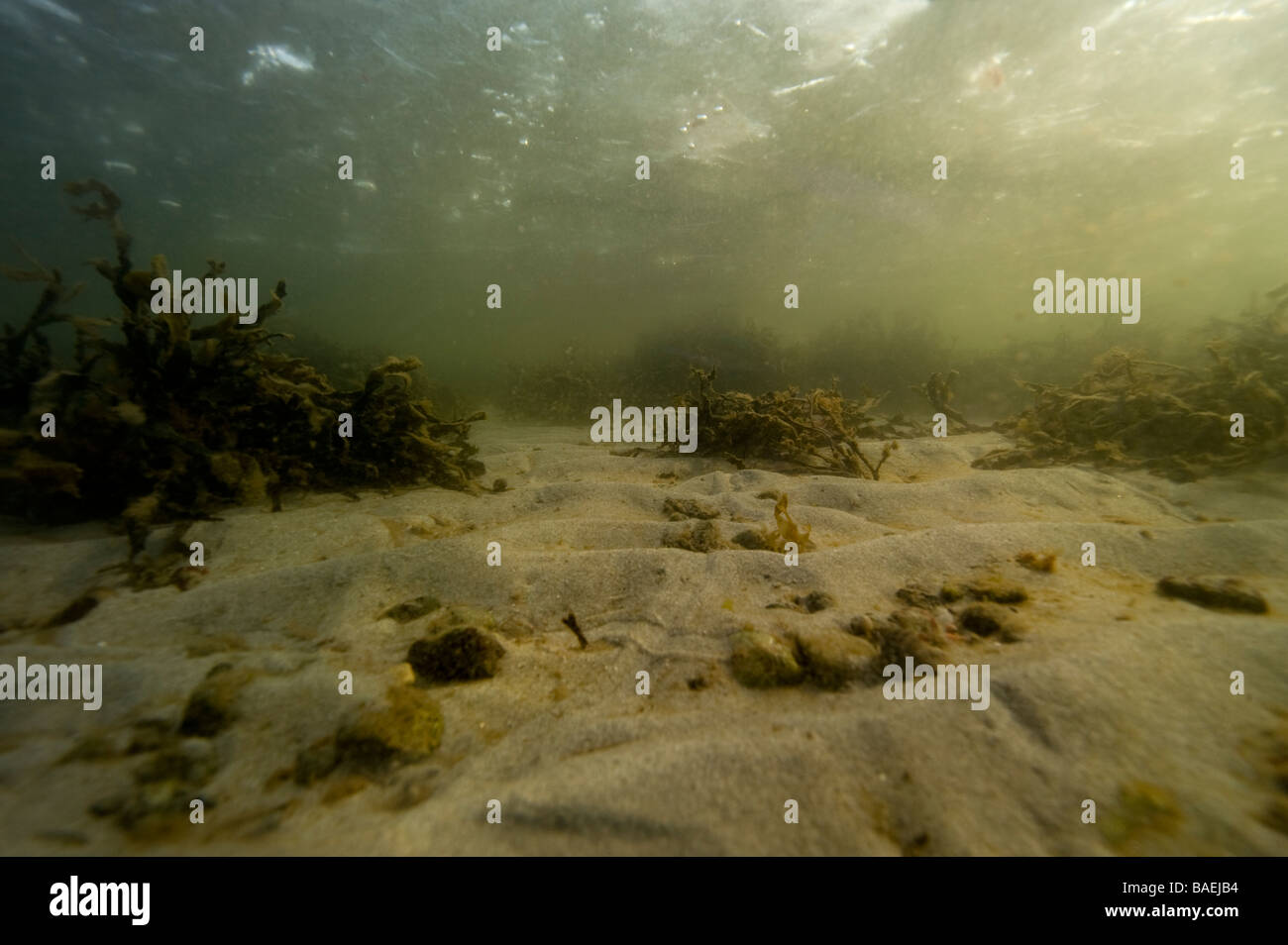 Sandy Meeresboden und einer eisigen, gefroren, Wasserfläche, Schweden Stockfoto