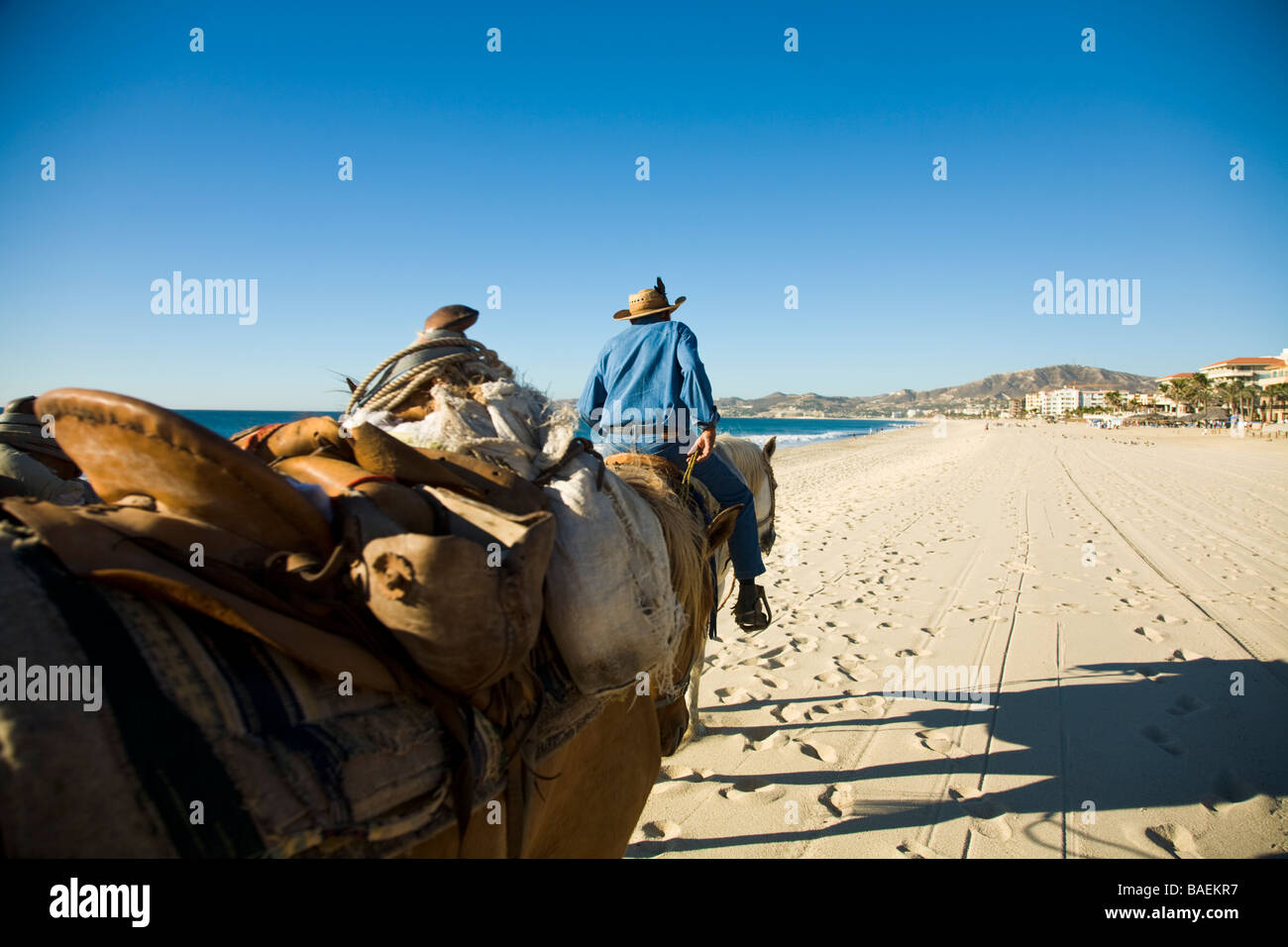 San Jose del Cabo in Mexiko mexikanische Mann auf dem Pferderücken Cowboy Hut und Zügel zu Pferde Fuß Strand in der Nähe von resort Stockfoto
