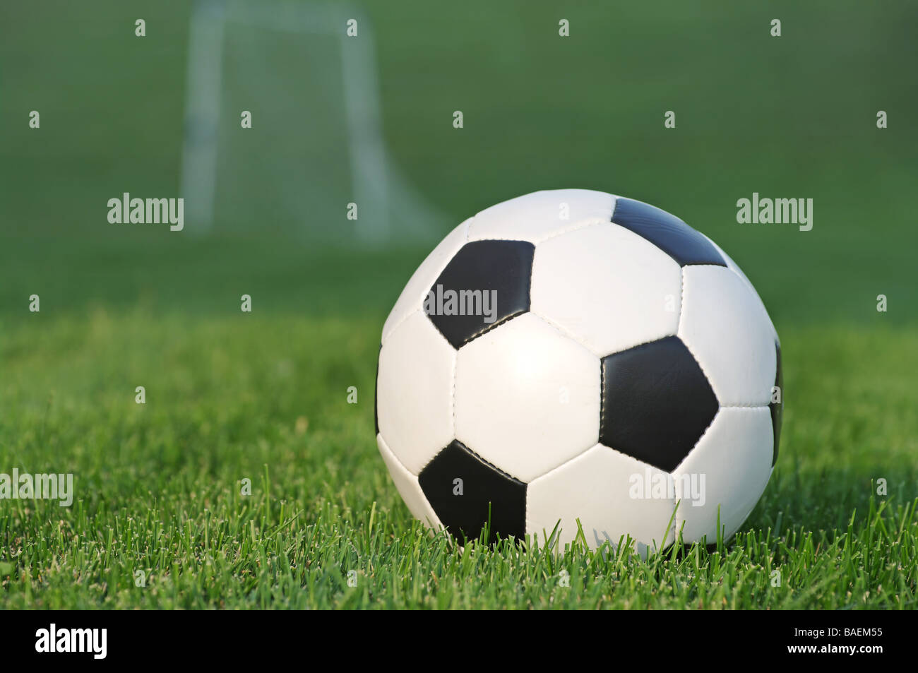 Fußball auf der Wiese mit Ziel im Hintergrund Stockfoto