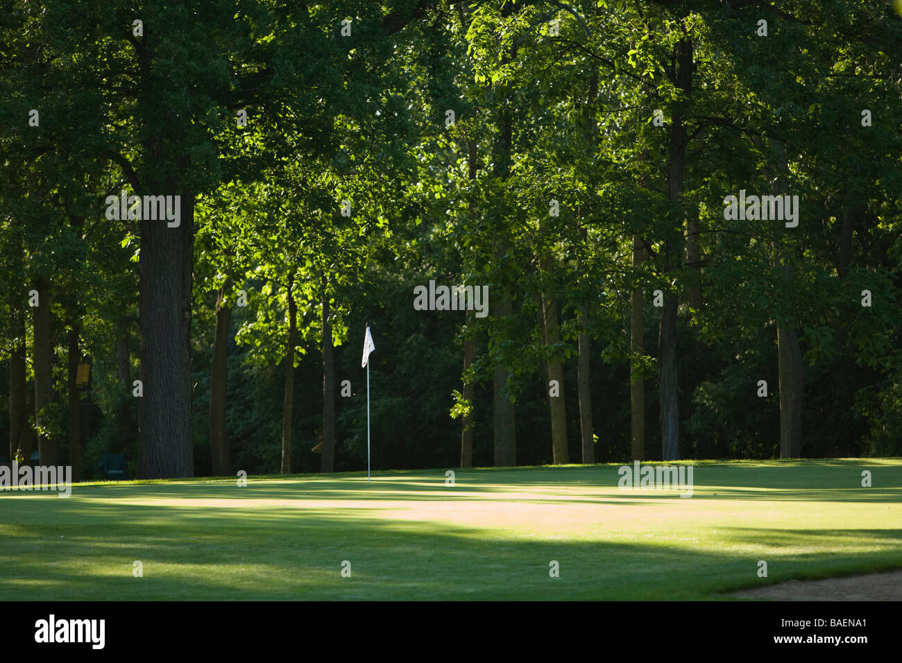 GOLF Deerfield Illinois Flagge Pin der öffentliche Golfplatz grünen Bäumen umgeben Stockfoto