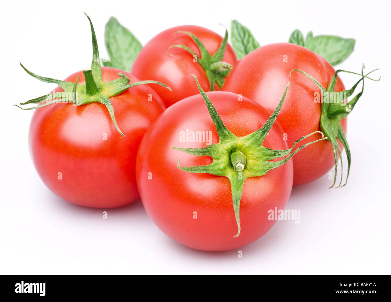 Tomaten-Objekt auf einem weißen Hintergrund Stockfoto