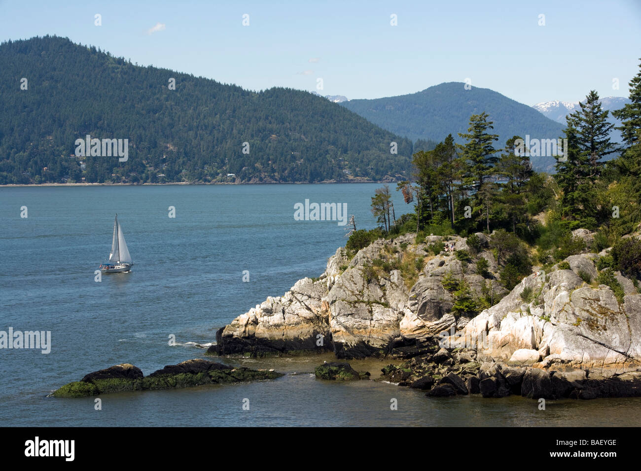 Segelboot an der Horseshoe Bay, West Vancouver, Britisch-Kolumbien Stockfoto