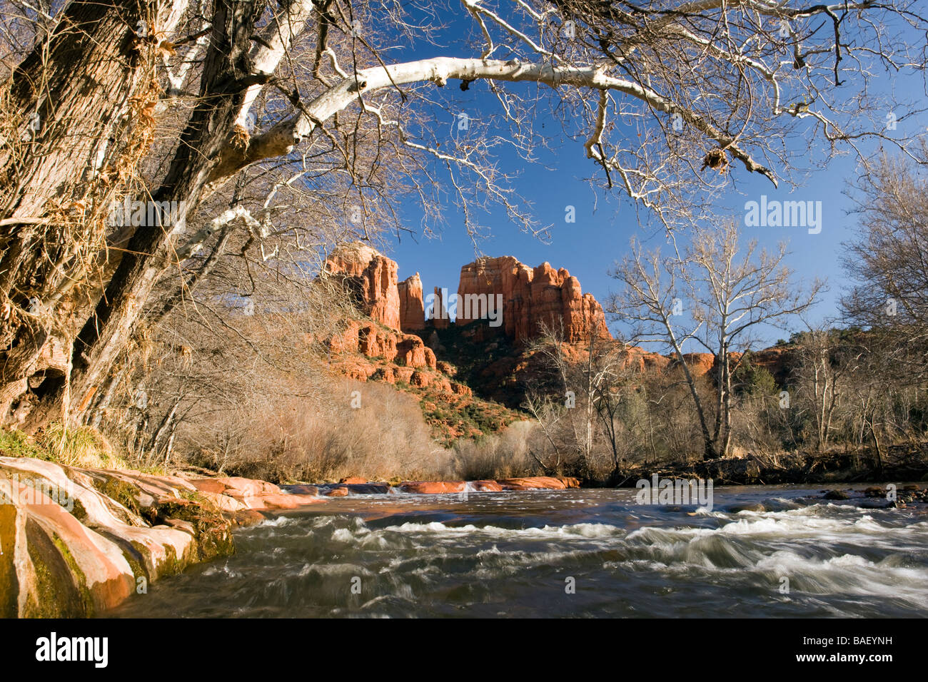 Blick auf Kathedrale Rock von Mondsichel Ranch - Sedona, Arizona Stockfoto