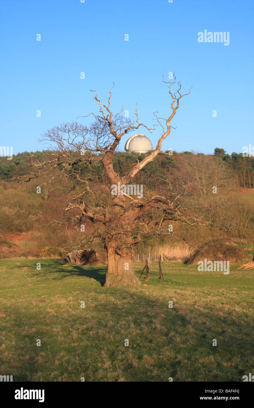 Kuppel der Isaac-Newton-Teleskop in Herstmonceux, England Stockfoto