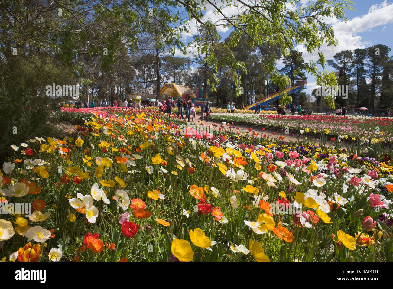 Floral spektakulär, Commonwealth Park, Canberra, Australian Capital Territory, Australien Stockfoto