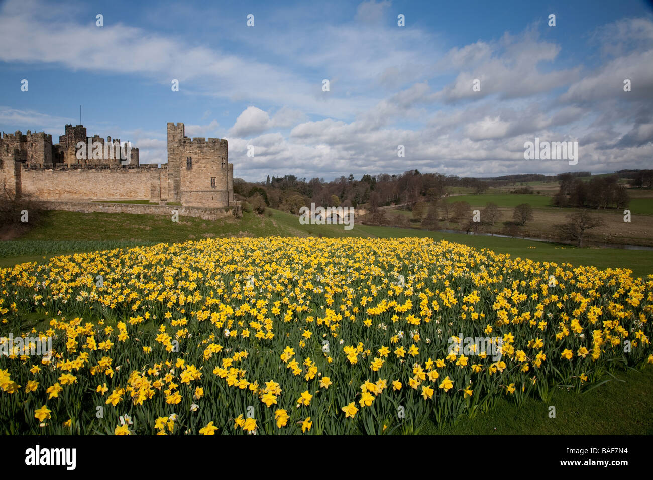 Alnwick Castle in Northumberland, England. Stockfoto