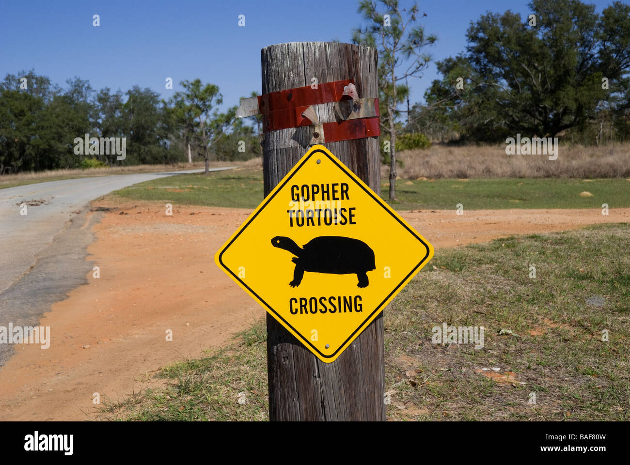 vom Aussterben bedrohte Gopher Schildkröte crossing Schild am Bok Tower Gardens nationalen historischen Wahrzeichen Lake Wales Florida Stockfoto