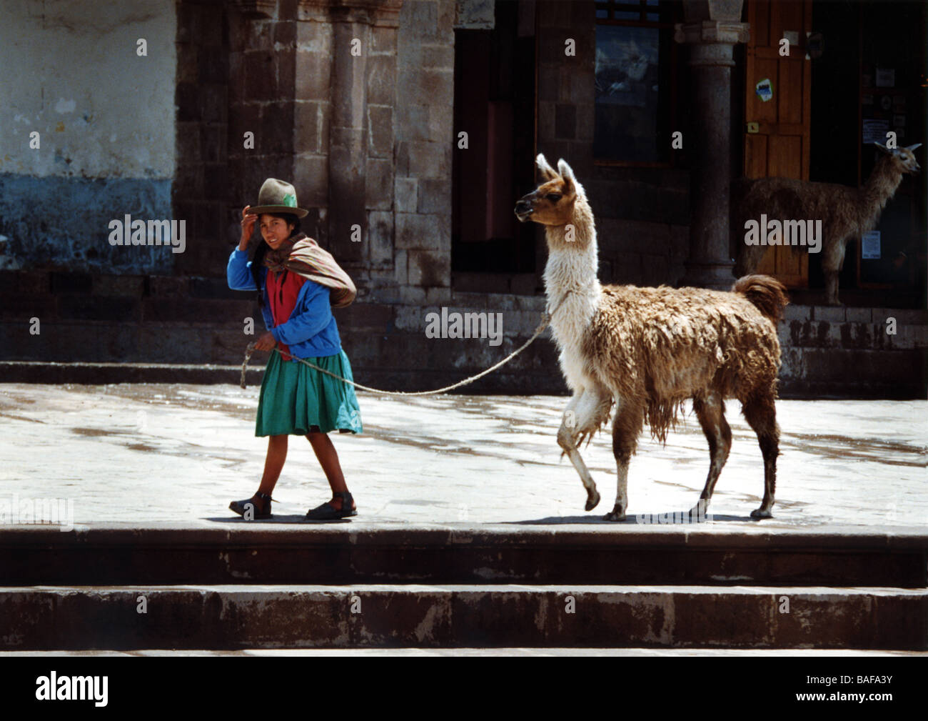 Peruanische Quecha-Frau mit Lamas in Cusco, Peru, Südamerika Stockfoto