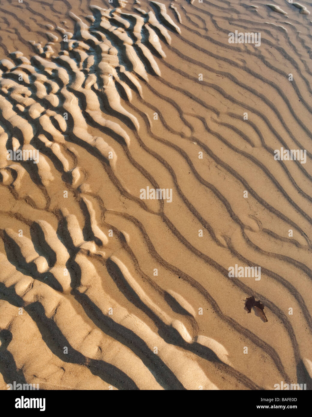 Sand, Wellen und ein Wasserbecken am Tynemouth Longsands Beach, North Tyneside Stockfoto