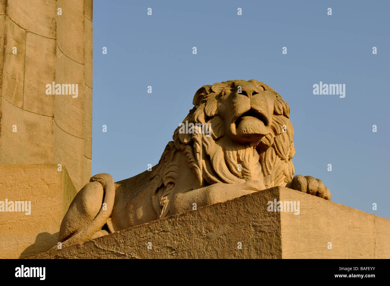 Löwe auf Basis des Lord Hill Spalte, Shrewsbury, Shropshire, England, UK Stockfoto