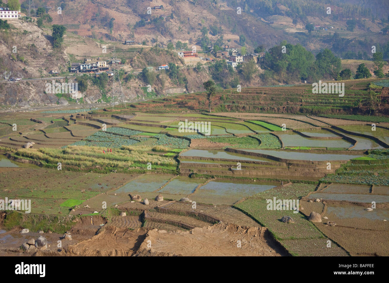 Nepalesische Bauernhof schlammigen Reisfeld überflutet rudimentäre Landwirtschaft Kathmandu Tal Nepal horizontale 92784 Nepal Stockfoto