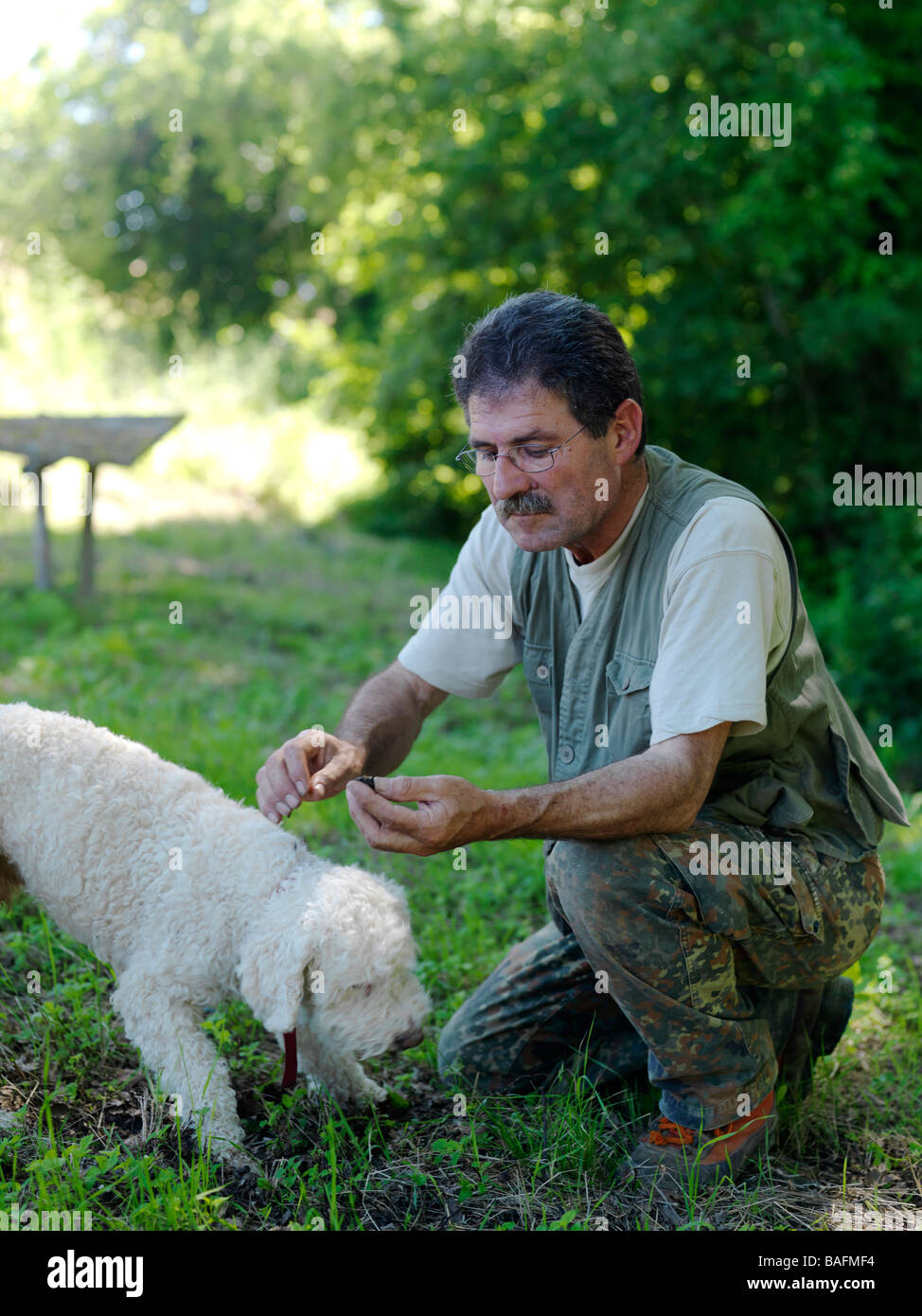 Ein Trüffeljäger und seinem Hund. Stockfoto