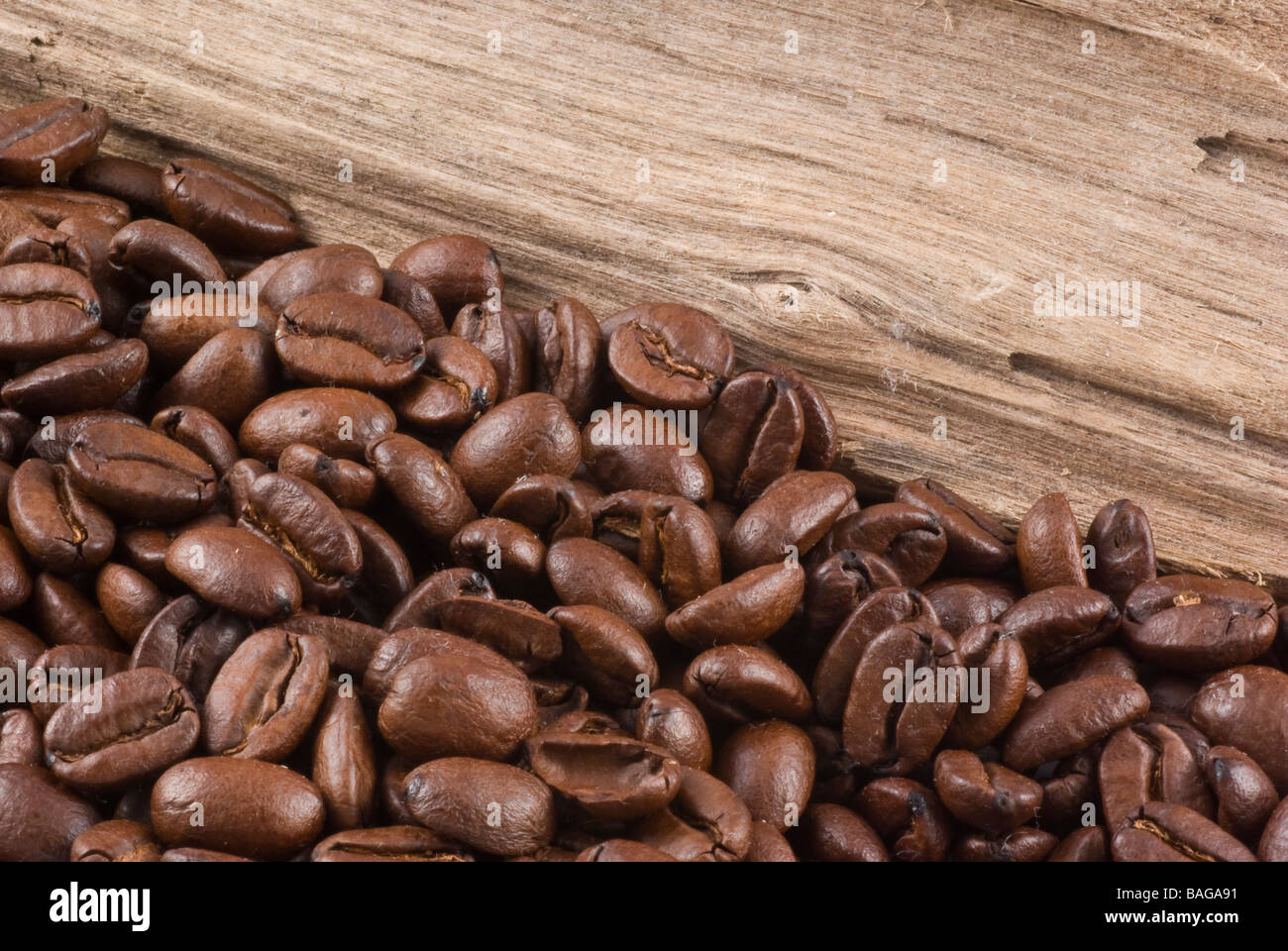 Gerösteten Kaffeebohnen und ein Stück Treibholz Stockfoto