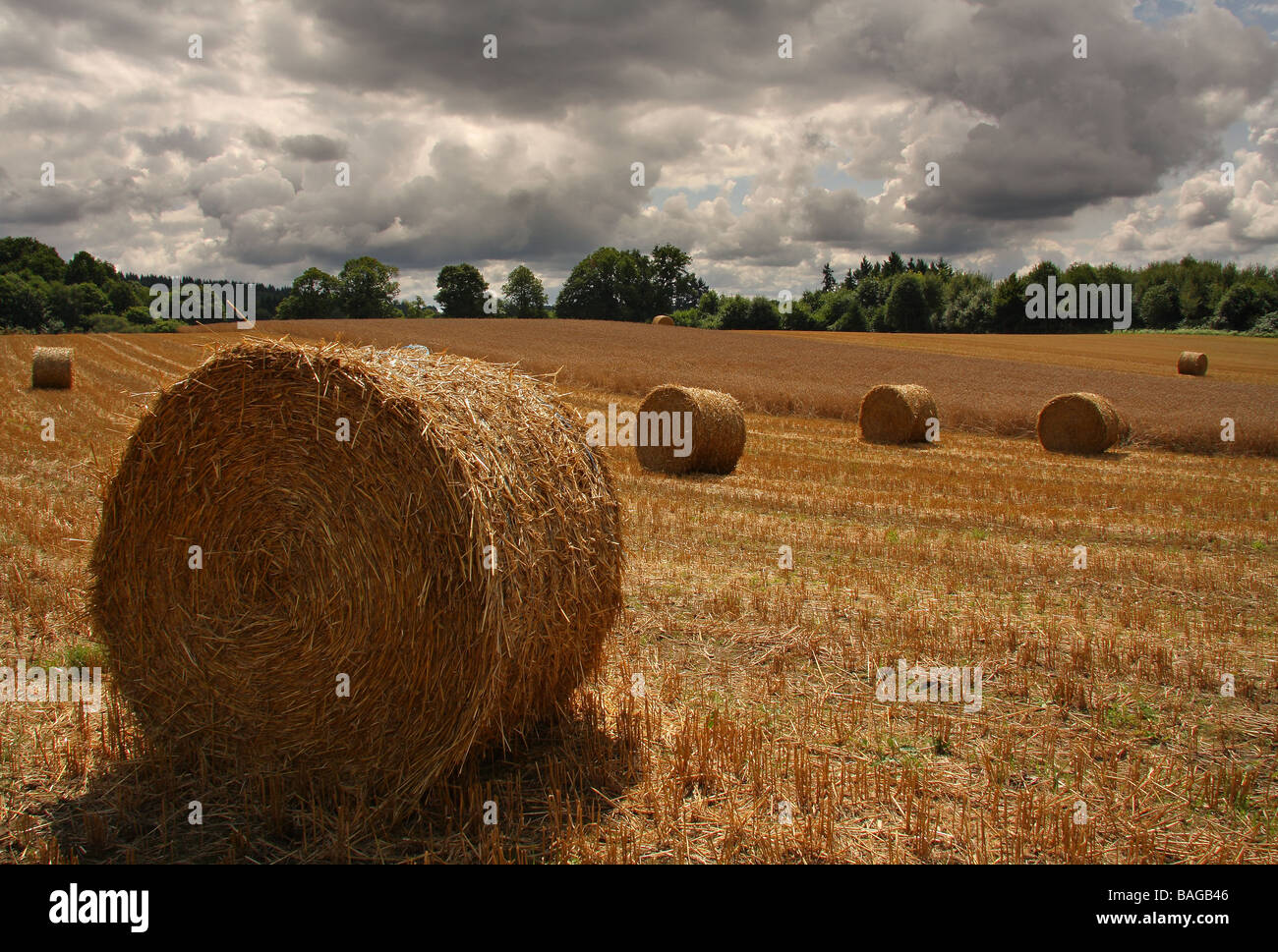 Mehrere Runde Strohballen in ein Feld-Wald in der Ferne und einen stürmischen Himmel Limousin Frankreich Stockfoto