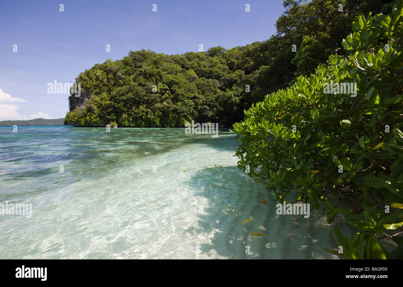 Strand in Felsinseln Mikronesien-Palau Stockfoto