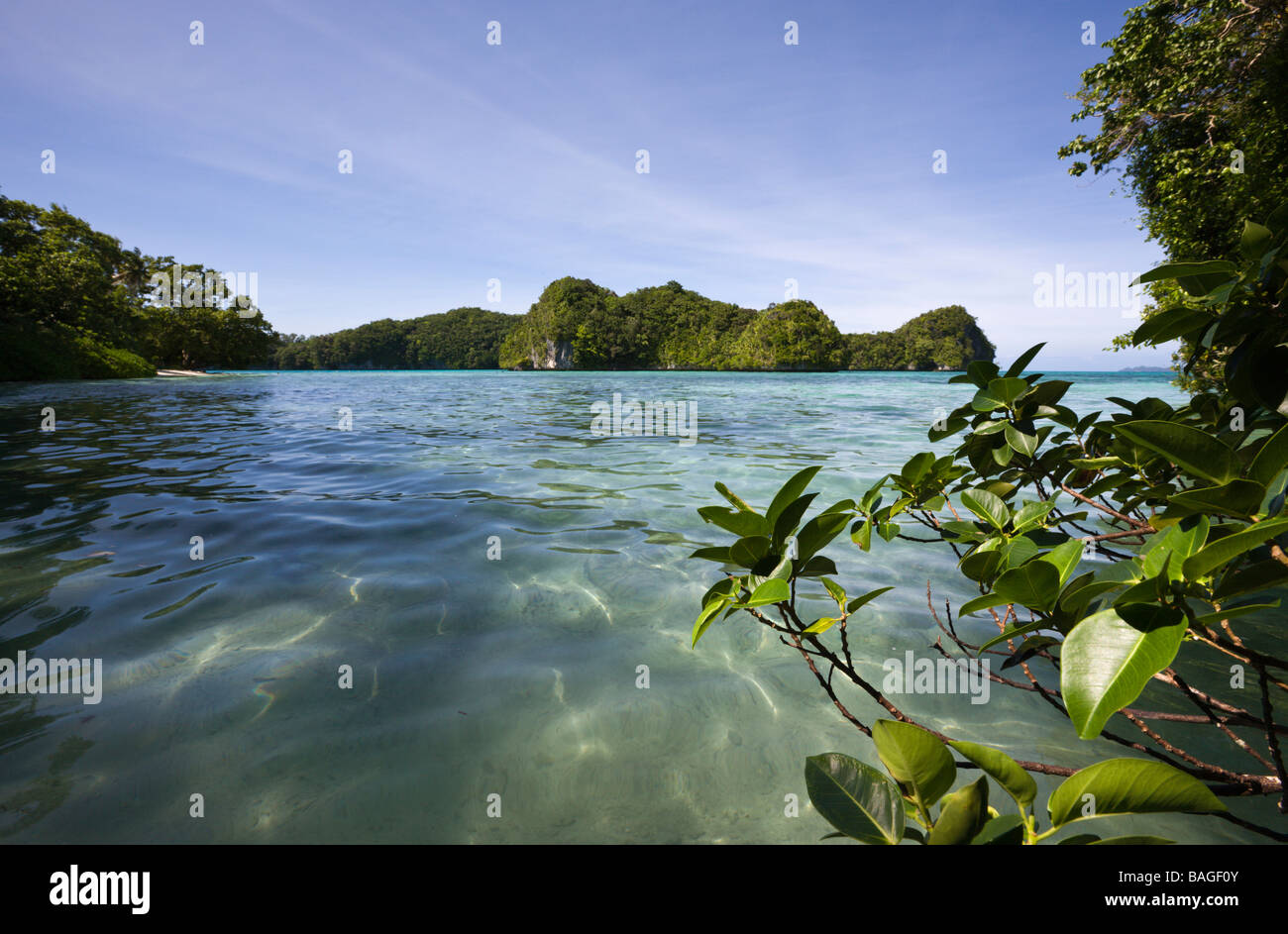 Bucht in Felsinseln Mikronesien-Palau Stockfoto