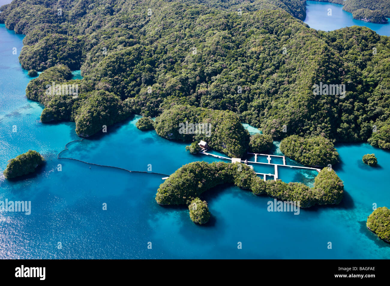 Dolphin Bay in Felsinseln Mikronesien-Palau Stockfoto