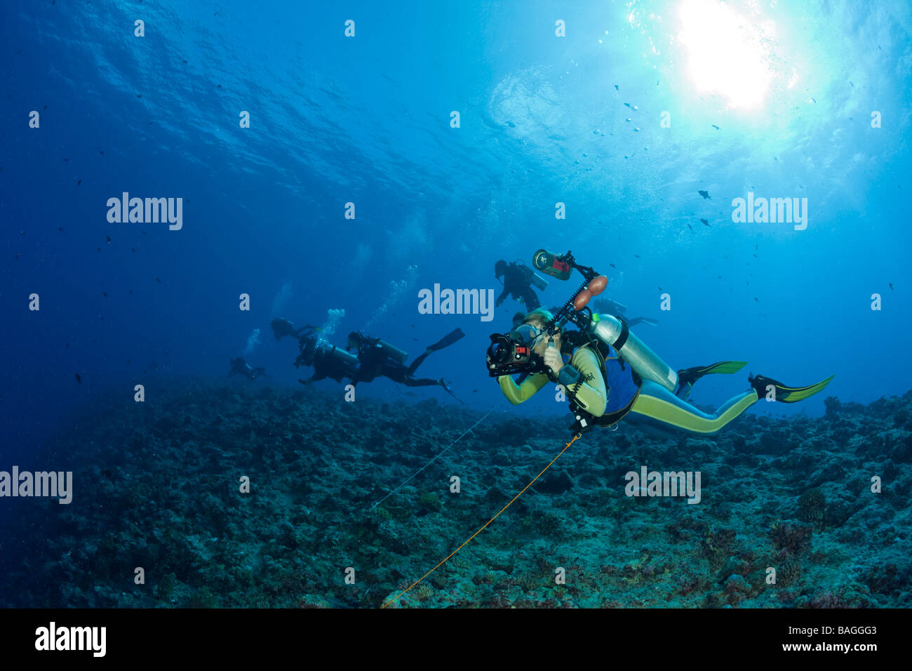 Taucher nutzen Riffhaken im aktuellen blaue Ecke-Mikronesien-Palau Stockfoto