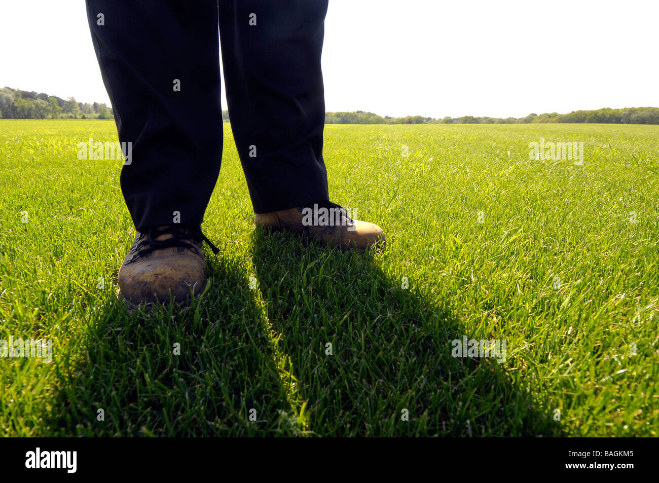 Rasen, Unternehmenswachstum, UK Stockfoto