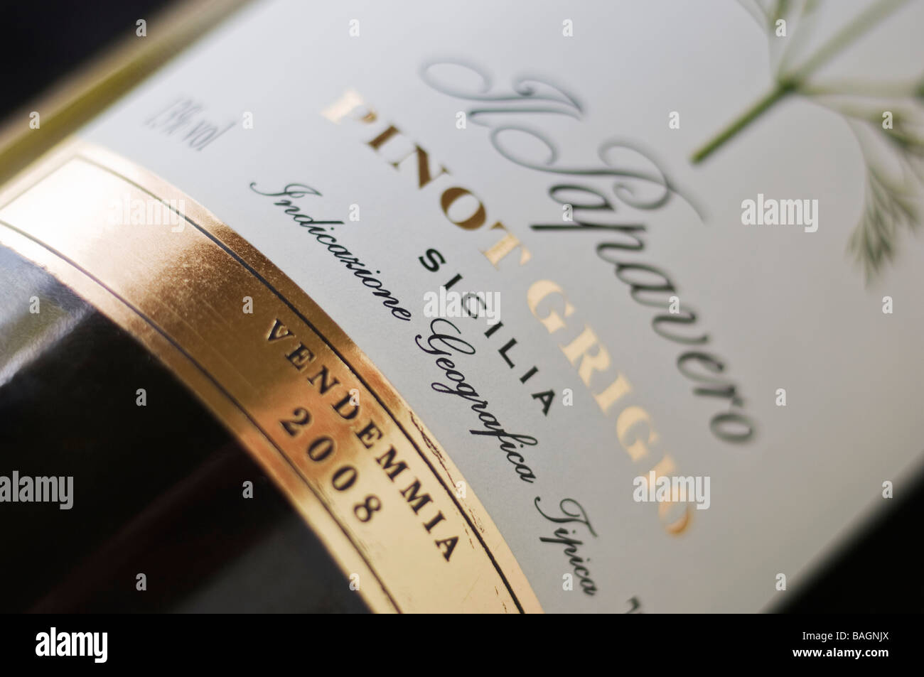 Il Papavero Pinot Grigio Weinetikett closeup Stockfoto