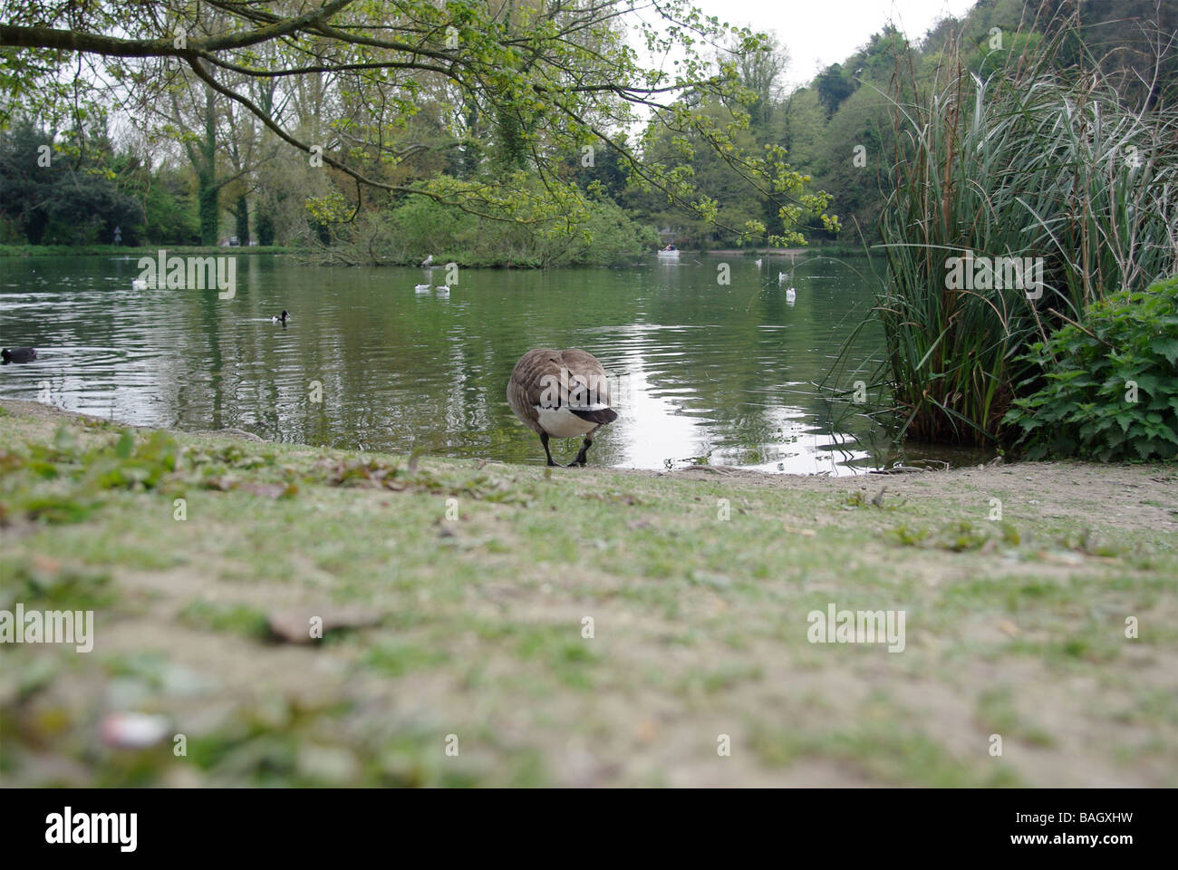Enger Fotos und Bildmaterial in hoher Auflösung Alamy