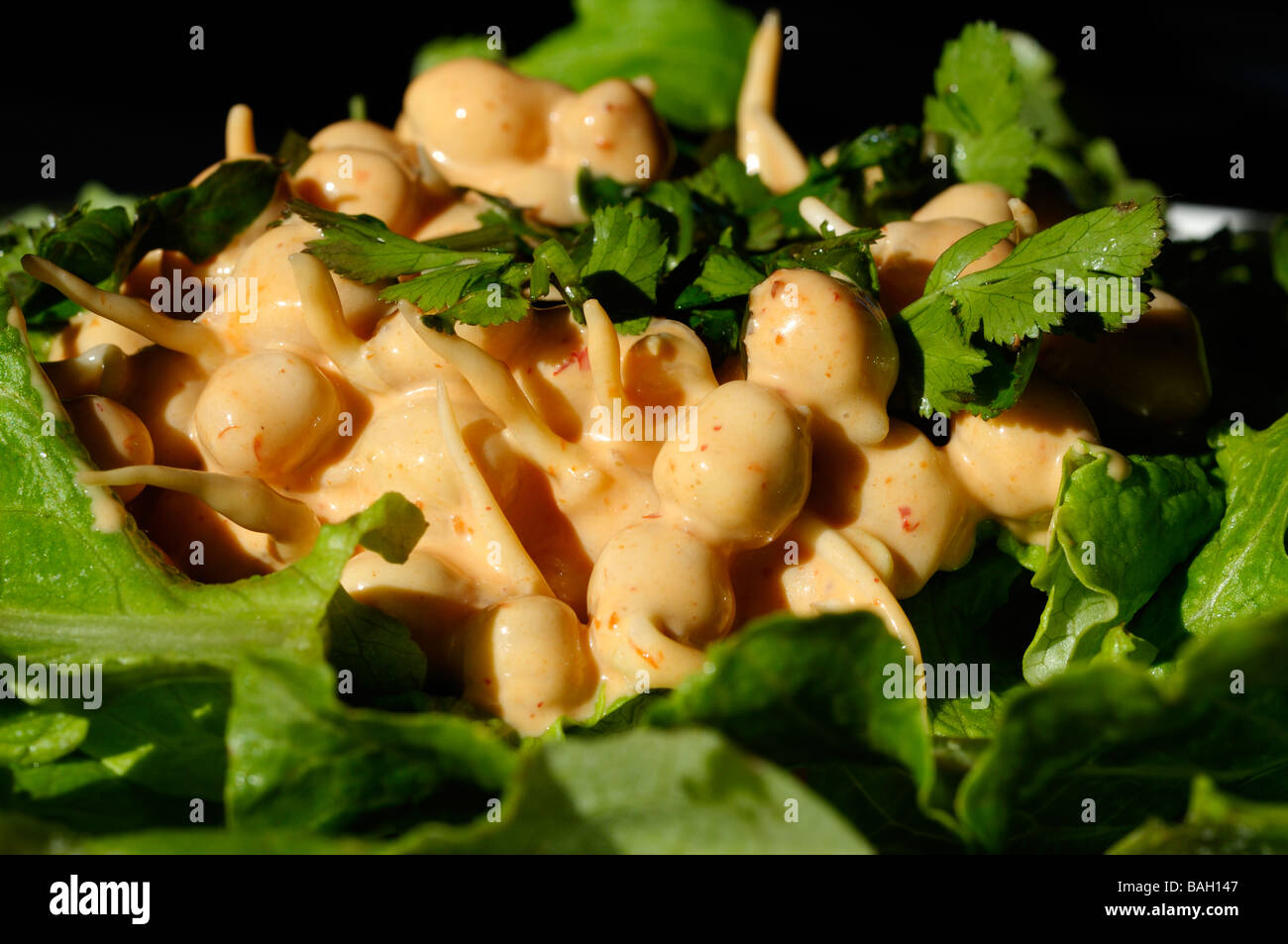Foto von einem Küken-Erbsen-Salat Stockfoto