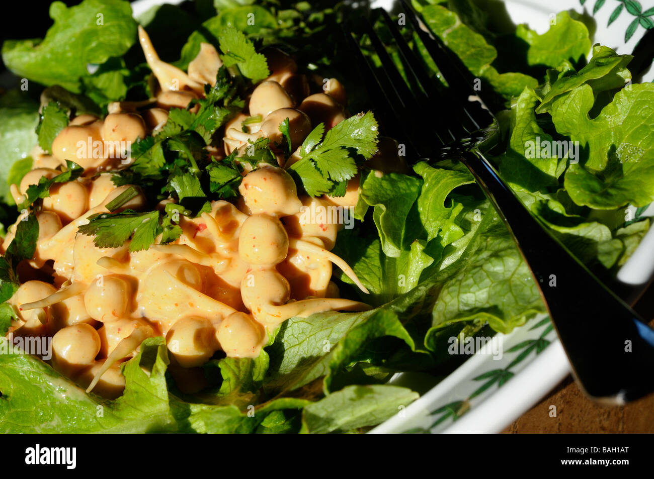 Foto von einem Küken-Erbsen-Salat Stockfoto