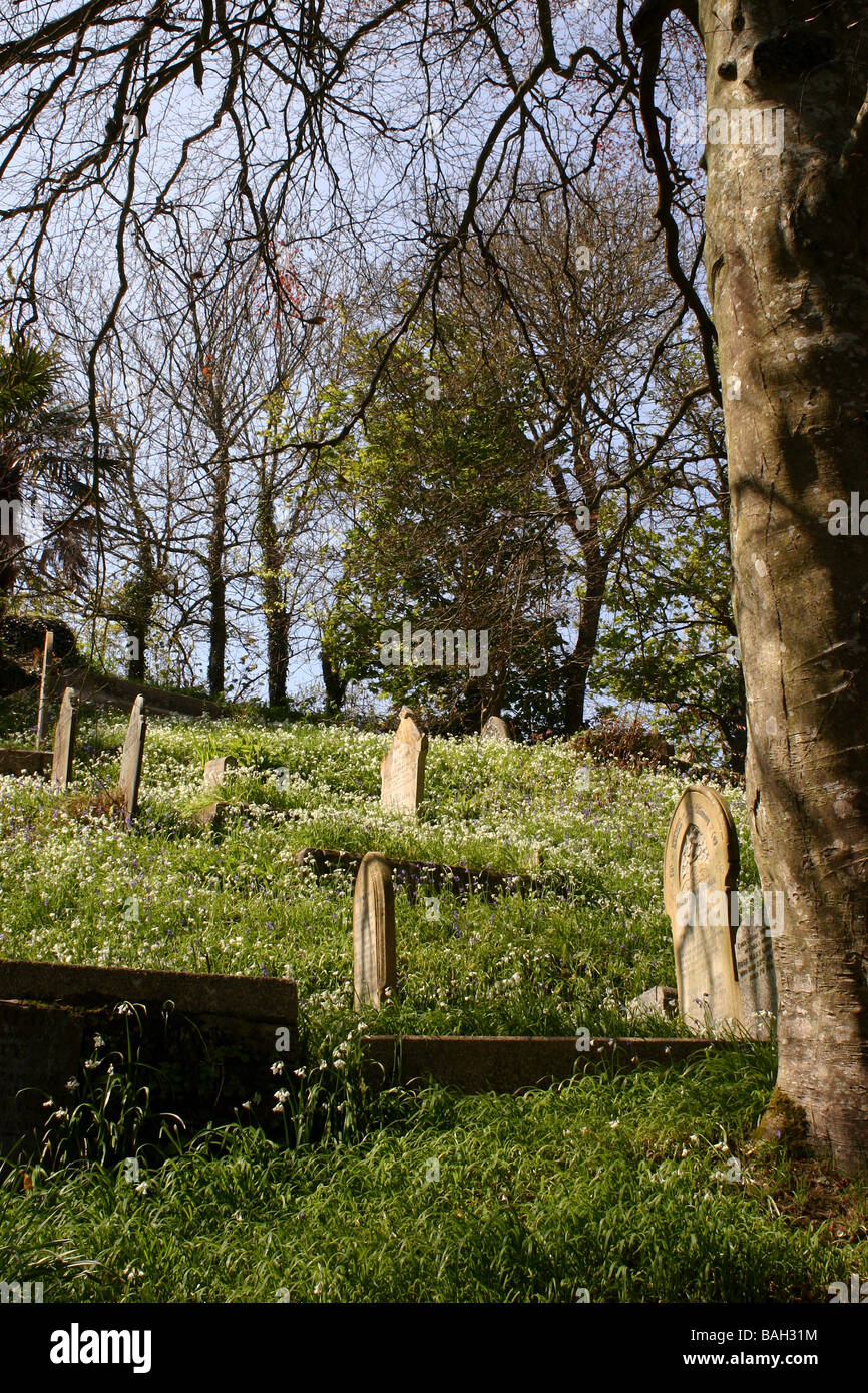 Friedhof von St. Just in Roseland Cornwall Stockfoto