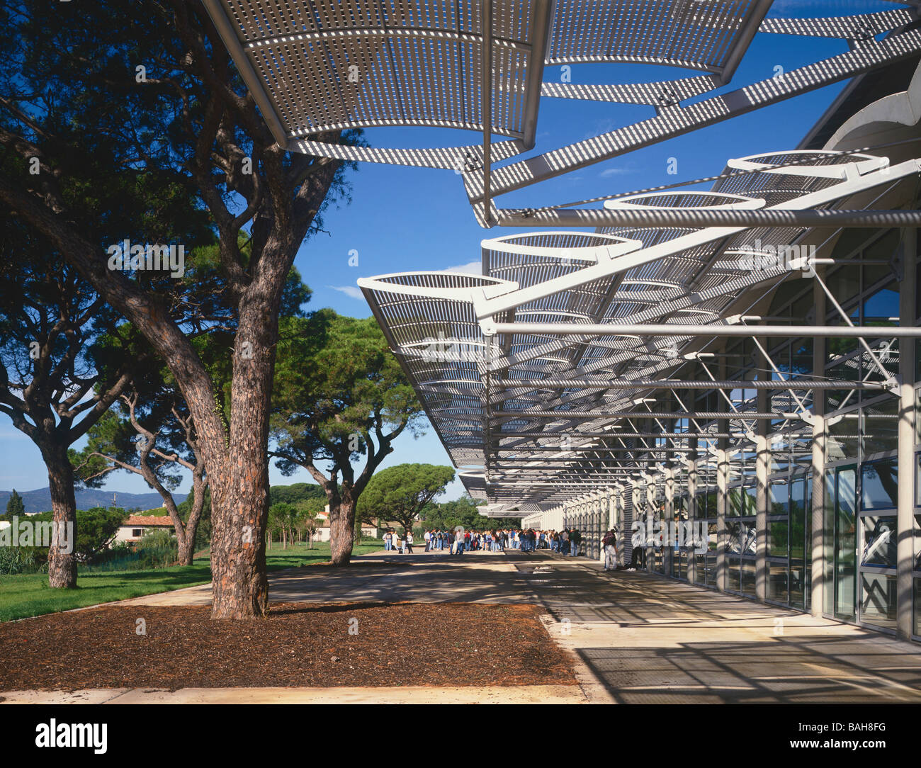 Lycée Polyvalent Albert Camus, Frejus, Frankreich, Foster and Partners, Lycée polyvalent Exterieur mit Bäume und Gebäude Baldachin. Stockfoto