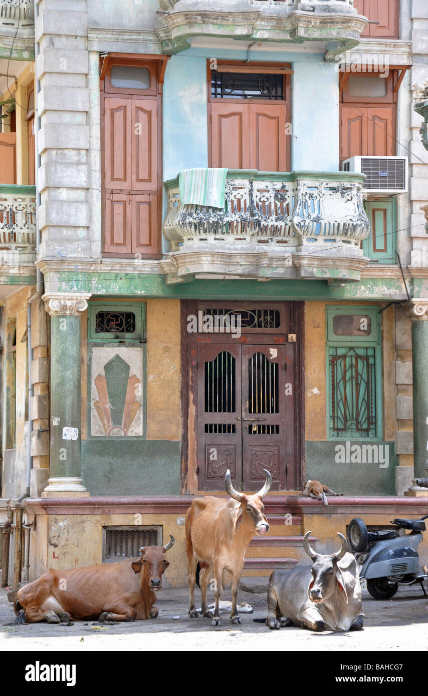 Eine Gruppe von Freunden Vergehen am Nachmittag draußen ein Haveli in Ahmedabad, Gujarat, Indien Stockfoto