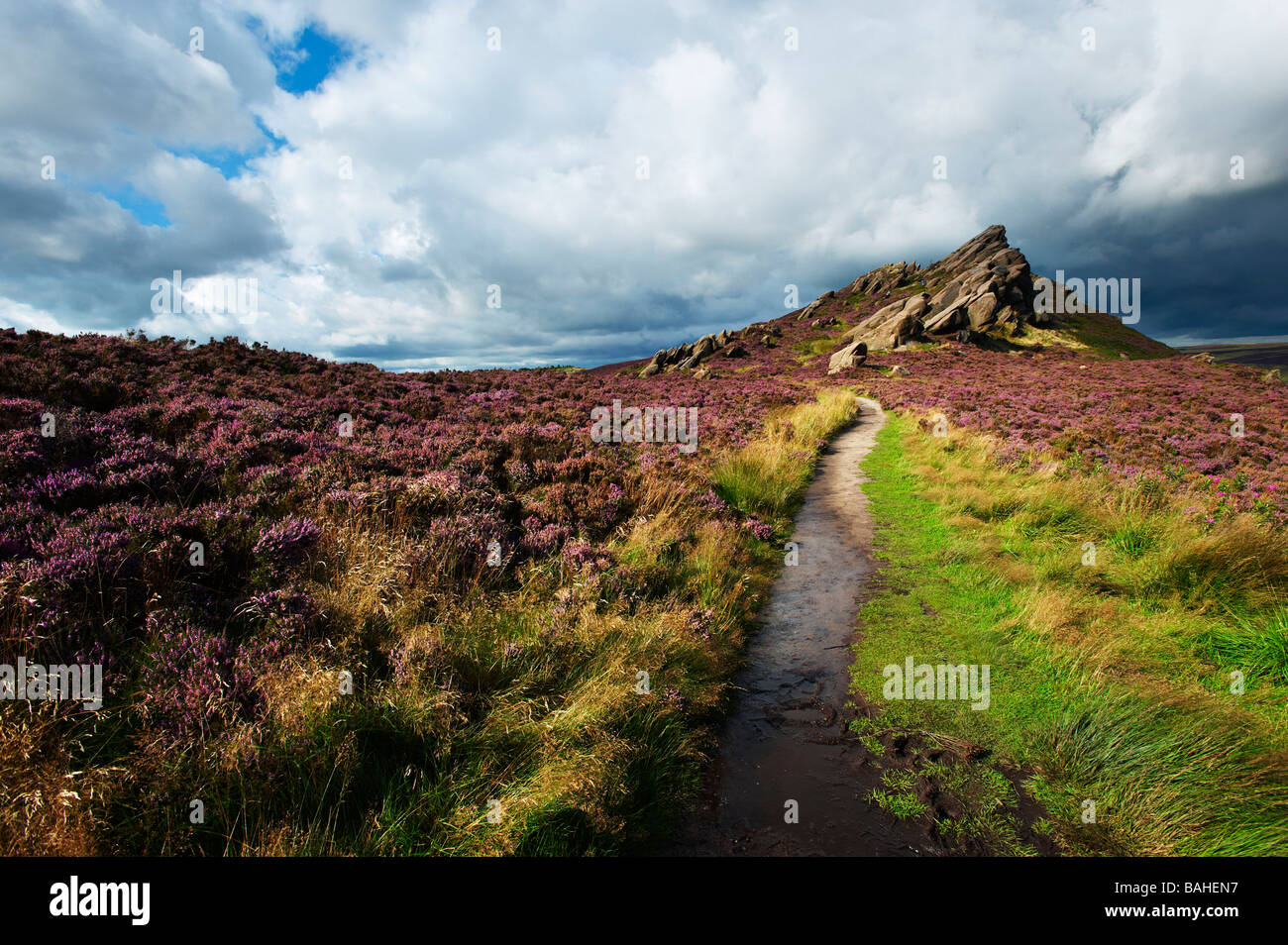 Ramshaw Felsen Staffordshire UK Stockfoto