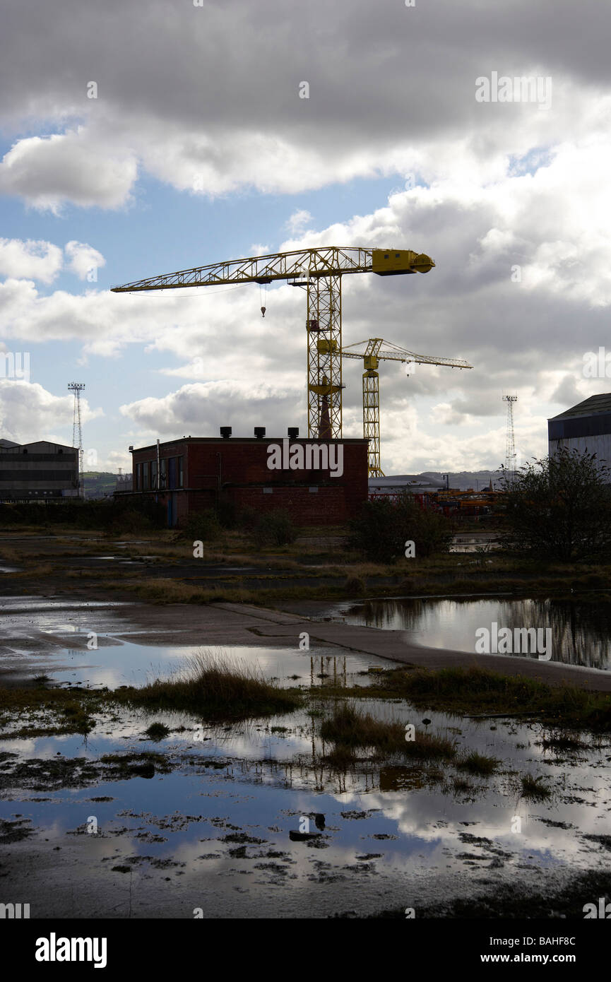 Die stillgelegten Krane bei Harland und Wolfe Werft, Belfast, Nordirland Stockfoto