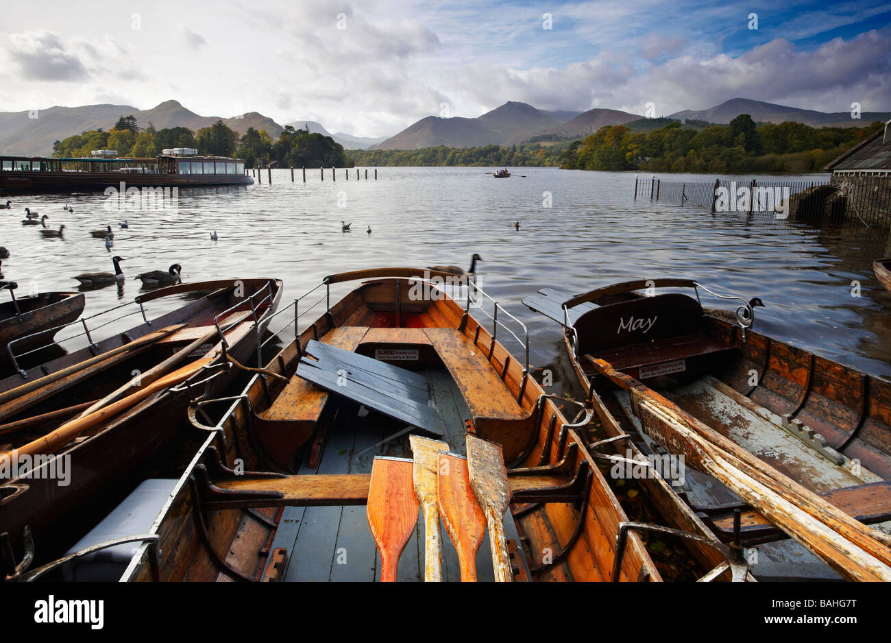 Derwentwater Seenplatte Cumbria UK Stockfoto