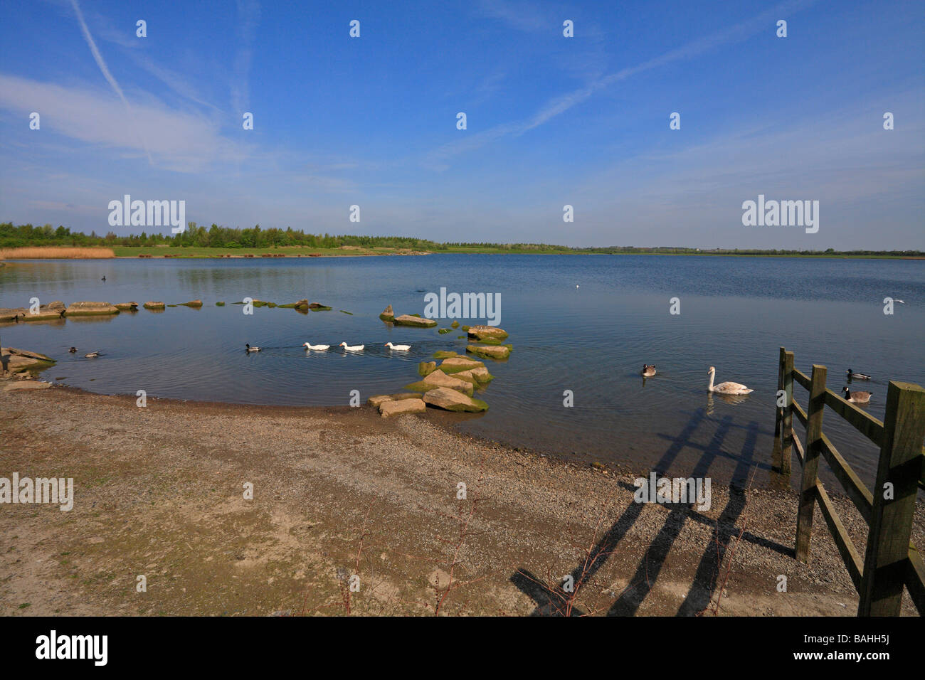 Angler Country Park, Wintersett, Wakefield, West Yorkshire, England, UK. Stockfoto